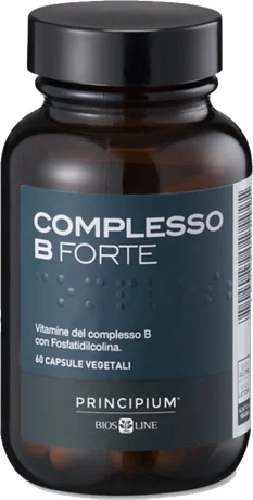 Kompleks B